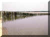 palen in water.jpg (37878 bytes)